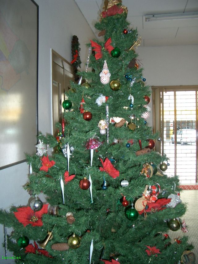 xmas_treechurch.jpg