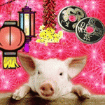 year of the pig